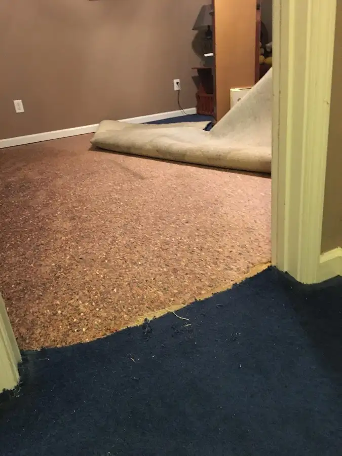 Carpet pad removal revealing water damage during Drying & Dehumidification in Ionia