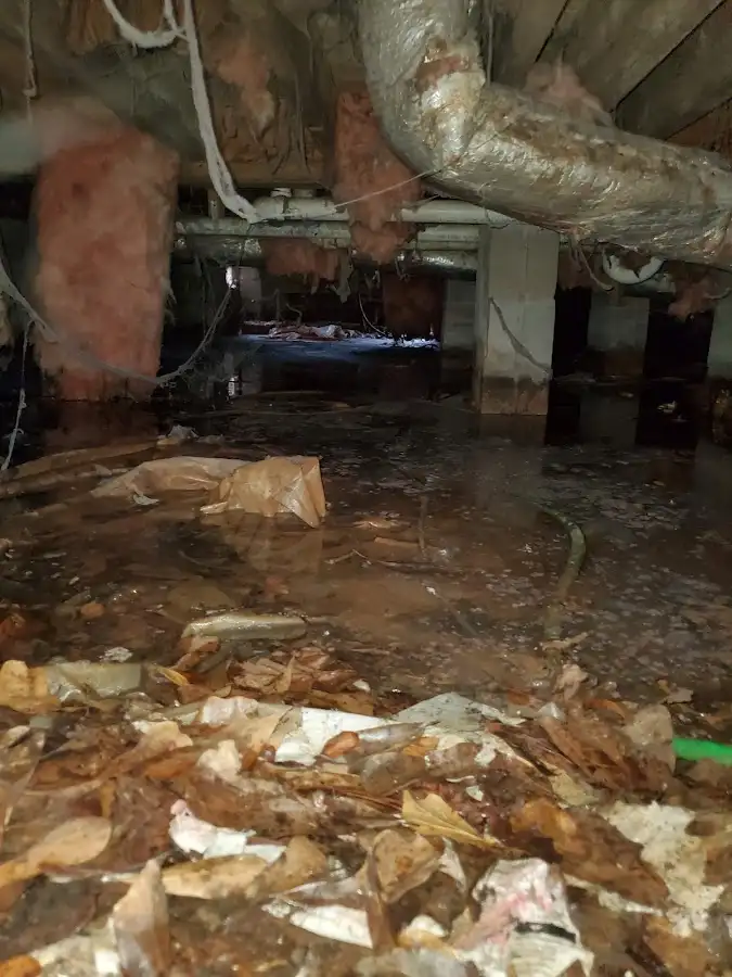 Crawl space flood assessment for Commercial Water Damage Restoration in Ionia