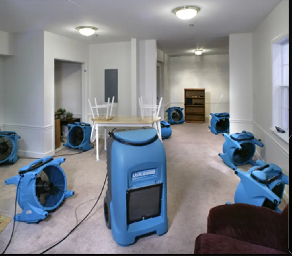 Air movers and dehumidifier setup for Water Extraction & Removal in Ionia