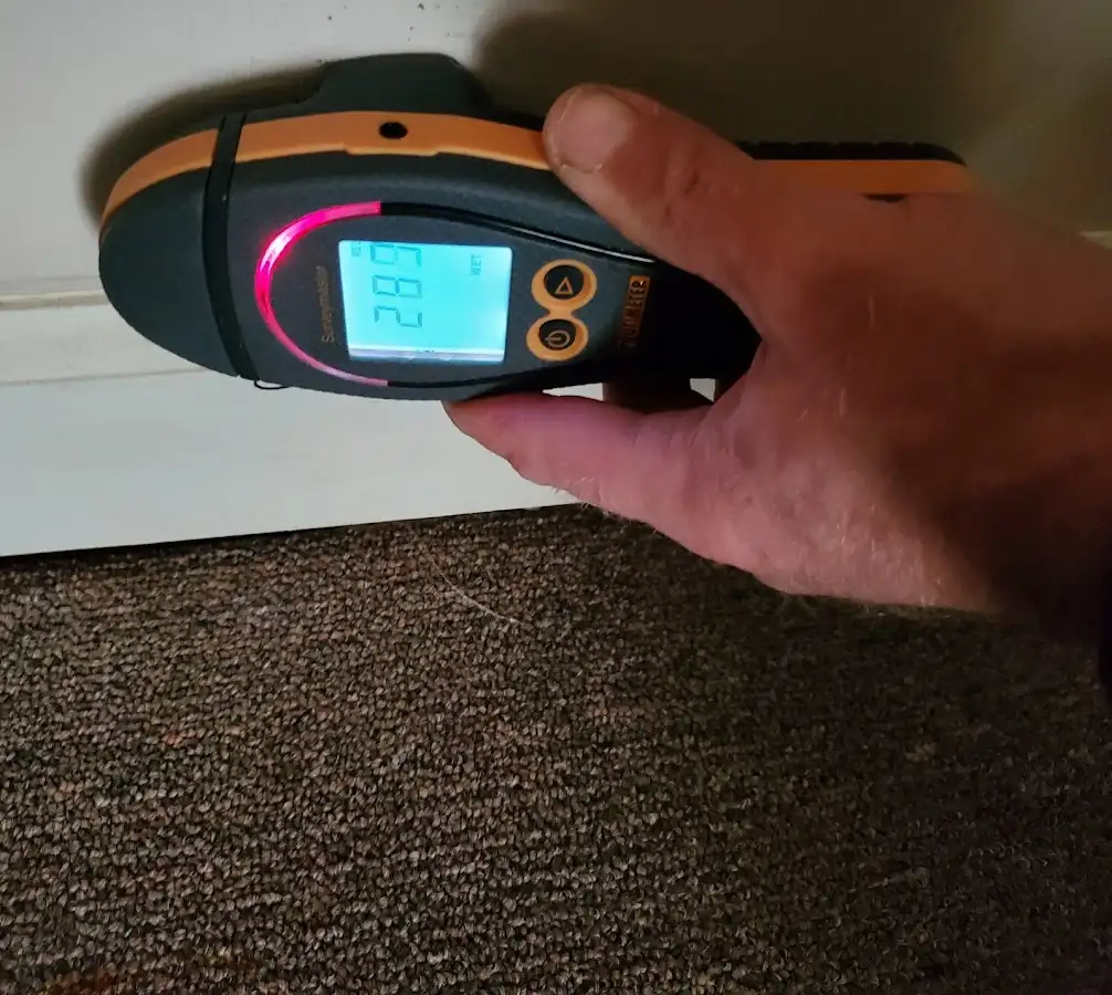 Moisture detection at baseboard during Burst Pipe Cleanup in Ionia